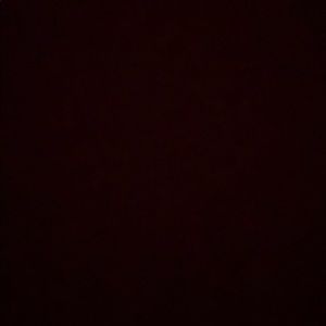 Meet your Posher, Eva